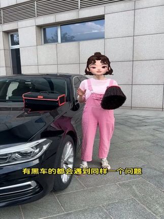 汽车除尘掸子,擦车除尘,一擦即净,不伤车漆,方便耐用