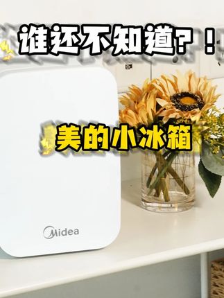 谁还不知道啊?!这个迷你小冰箱!! #租房那些事 #露营装备 #小冰箱推荐 #美的小冰箱