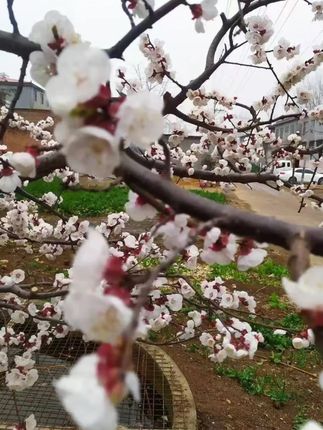 美涛水润保湿啫喱水120ml/180ml保湿亮泽/定型水润男女喷雾持久  #啫喱水  #定型喷雾  #保湿啫喱水