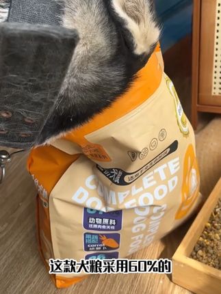 冻干多到能当玩具!狗勾为贝悦拼了 #萌宠好物#狗粮推荐