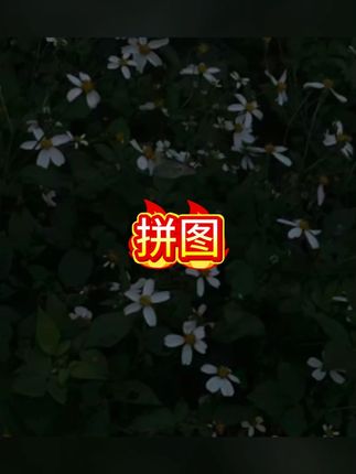 卡通拼装立体拼图批发恐龙儿童小玩具益智diy模型开业幼儿园奖品#拼图 #拼图玩具 #拼图游戏 #拼图儿童益智 #儿童益智