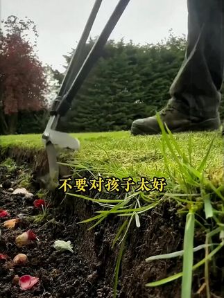 妈妈会夸孩子,孩子会更有自信,学习做事情更有信心 #夸孩子我有1000句 #孩子教育 #家长必读 #好书推荐 #夸孩子的正确方式