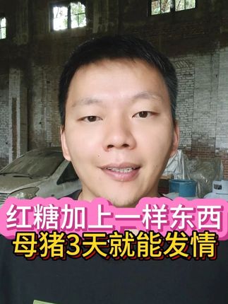 红糖加上一样东西,母猪3天就能发情! #养猪经验 #母猪不发情 #快速解决母猪不发情 #母猪不发情怎么办 #无限回购的宝藏单品