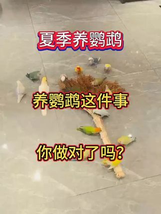 #好物推荐 好物分享#每日分享 好物达人分享#每天推荐