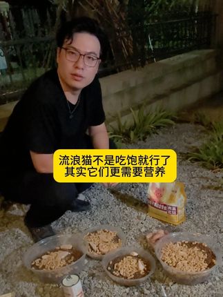 流浪猫的一生多么悲惨无奈 好好照顾他们吧 多给点营养#流浪猫