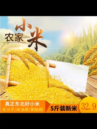 占泉2024黄金苗小米直发 占泉黄金苗小米 朋友们,占泉的黄金苗K1小米来啦。这是2024年秋收的新米,从辽宁朝阳建平直发。小米颗粒饱满,熬出来的粥香甜可口,营养丰富。不管是老人小孩,都适合吃。赶紧给家里安排上,让家人喝上美味的小米粥。#占泉小米 #辽宁朝阳小米 #新小米