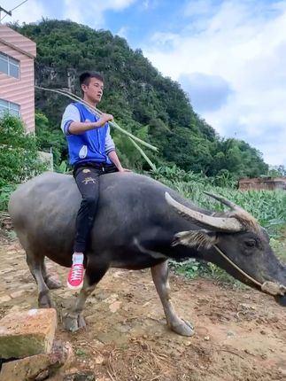 蒲家乐🔥三档起步