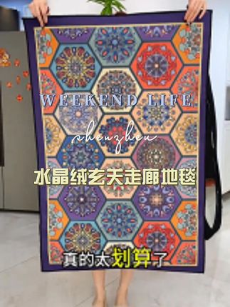 #入户门地垫 #地毯地垫 #家居百货 #好物分享 173 分享 不感兴趣 举报