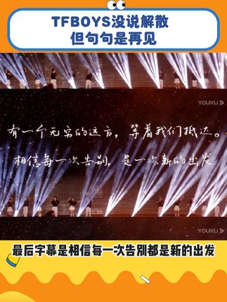 别管了正在追星