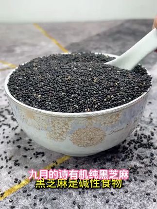 九月的诗有机纯黑芝麻罐装生熟可选即食免洗馅料芝麻糊香农家新货