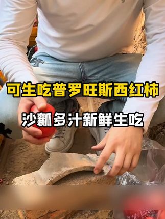【顺丰京东】陕西泾阳普罗旺斯水果西红柿沙瓤番茄新鲜采摘自然成熟#普罗旺斯水果西红柿 #沙瓤 #新鲜采摘 #自然成熟 #顺丰京东