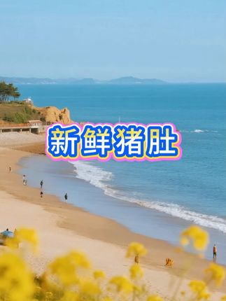 秋冬喝猪肚鸡汤太暖了!新鲜猪肚搭配整鸡,加红枣、枸杞慢炖 1.5 小时,汤浓味鲜,猪肚脆嫩不烂,鸡肉酥软脱骨!老人孩子都适合,家庭聚餐煮一锅,连汤带肉都光盘!#新鲜猪肚煲汤  #猪肚  #猪肚鸡汤  #秋冬暖身汤  #好吃