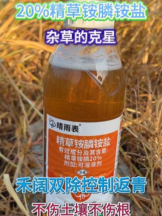 20%精草铵膦铵盐杂草克星#除草剂 #精草铵膦铵盐 #三农 #果园除草方法 #农业种植