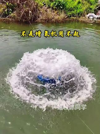 #水产养殖#水产人#水产养殖技术
