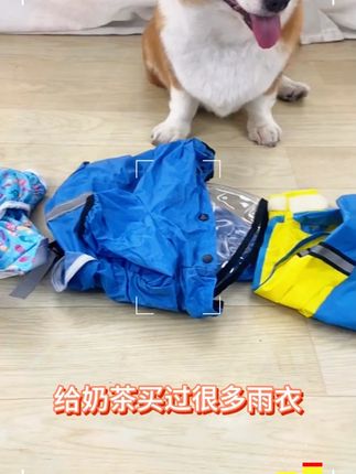 狗狗专用四脚全包雨衣,尽量的在雨天保护狗狗不被淋湿!实现雨天遛狗自由!#萌宠好物  #柯基  #家有萌宠  #宠物用品推荐官