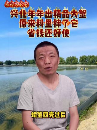 同款产品就放在下方链接,一箱也是批发#虾蟹疯长 #渔可盛 #螃蟹养殖 #虾蟹养殖 #大闸蟹螃蟹