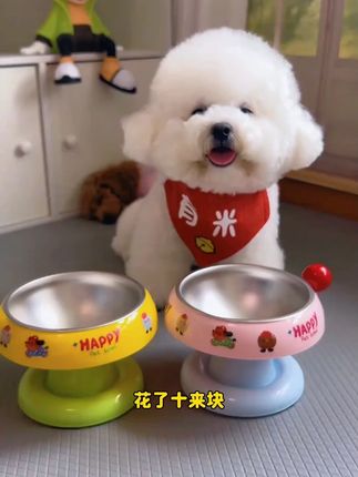 看到喜欢的我就买,这个碗便宜好看又实用。 #宠物碗