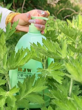 艾草绿茶沐浴露除螨止痒抑菌祛痘老牌子体香滋润保湿润肤家庭大瓶