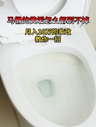 马桶的污垢怎么刷都刷不干净,月入十万的家政教你一招! #乐乐桉马桶蓝泡泡 #马桶清洁 #卫生间好物 #懒人清洁 #洁癖