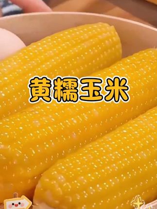 抢疯了抢疯了! 19.99到手12根#黄糯玉米 来活动啦!怎么会有这么好吃的黄糯玉米啊!软糯香甜玉米味超浓郁!趁活动有货赶紧抢#玉米 #糯玉米 #东北玉米 #优质农产品 #糯玉米甜玉米