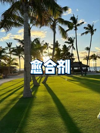 植物愈合剂 #盆景修剪 #伤口愈伤膏 #防腐封口