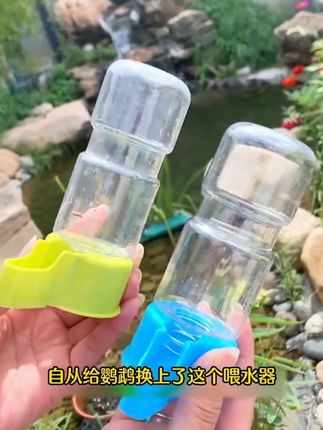 一个喂粮、一个喂水,再也不担心鸟儿把粮吃的那都是了。#鸟用喂食器  #小鸟喂食器  #自动喂食器  #鹦鹉防溅喂食器  #喂食器