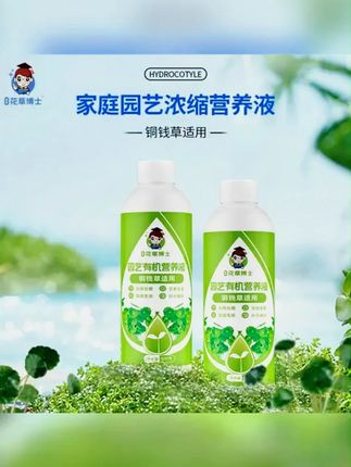 铜钱草黄叶枯叶生长缓慢,先别光给它浇水,可以给它用点这种专用的营养液, 为它补充氮磷钾等养分 #室内绿植 #铜钱草