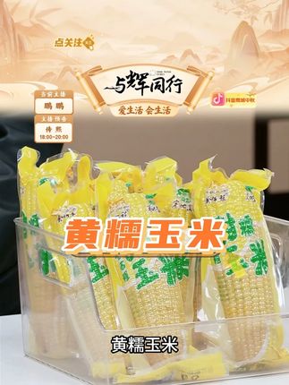 新货东北黄糯玉米黑土地玉米 #黄糯玉米 #黄糯玉米棒 #黄糯玉米软糯香甜 #黄糯玉米棒甜糯东北 #好物推荐 @DOU+好生意 @DOU+小助手