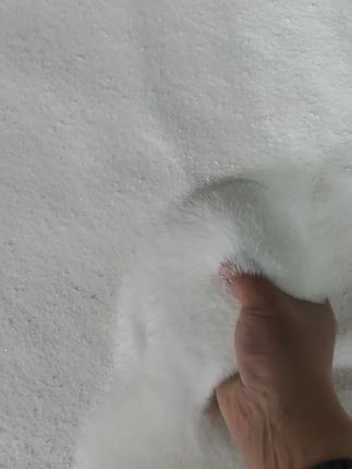 包邮到家!挪威进口品质大量元素水溶叶面肥 今天下午三点开始发货了!现在下单都是包邮到家哦,作物猛长看得见! #种植户 #农资肥料 #三农 #进口肥料 #化肥