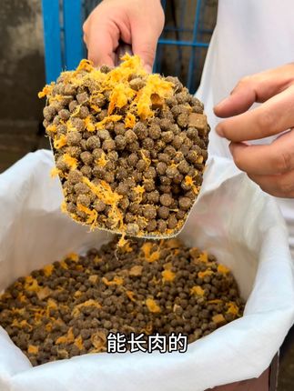 想让狗狗增肥长肉这款狗粮来帮忙#狗粮推荐 #源头工厂