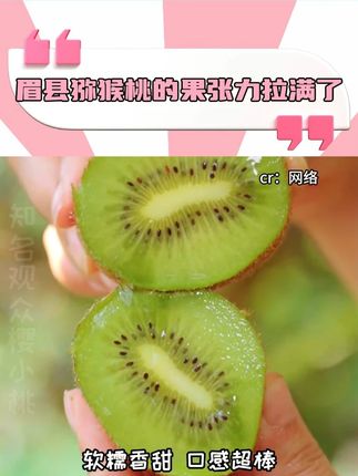 一起吃好吃的眉县猕猴桃吧#眉县猕猴桃的果张力拉满了 #星乡村星农人 #眉县猕猴桃 #抖音美好丰收节