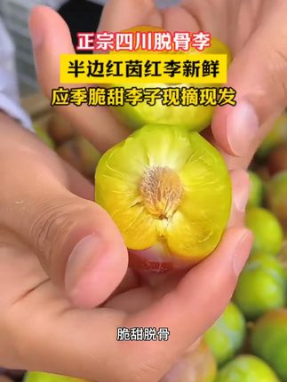 正宗四川脱骨李半边红李子!#李子 #脱骨李 #半边红 #新鲜应季水果