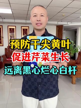 预防干尖黄叶,促进芹菜生长,远离黑心烂心白杆