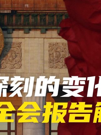 转型中深刻的变化:四中全会报告解析 #中国经济