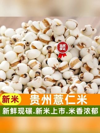 大薏仁米生薏米仁薏仁新米正宗薏仁米新鲜贵州薏米仁泡水煮粥净重#好物推荐🔥 #超便宜超划算 #好产品一起分享