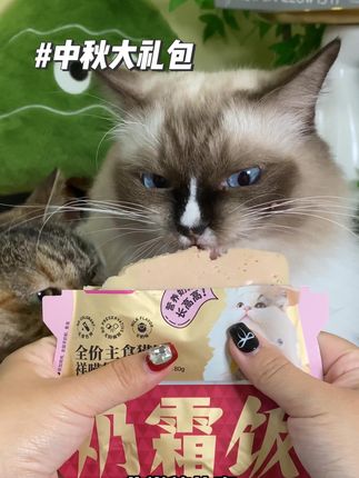 也太贴心了吧,宽福竟然还给小猫咪也准备了中秋大礼包,简直太香了#萌宠出道计划 #萌宠好物 #宠物月饼 #零食冻干 #新手养猫