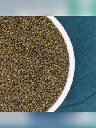 沙苑子中药材100-500克纯正新货正宗沙苑子枸杞泡水茶#沙苑子 #沙苑子茶 #沙苑子枸杞 #沙苑子推荐 #沙苑子中药材