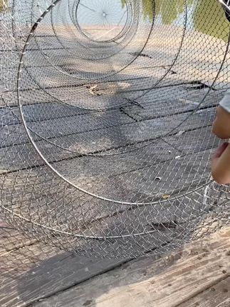 螃蟹 小龙虾 黄辣丁必备的鱼护 #金属鱼篓   #钢丝鱼护   #野钓