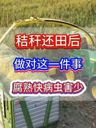 秸秆还田后,做错这一件事,腐熟快病虫害少。 #三农 #秸秆还田 #秸秆焚烧