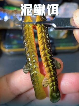 只要是鱼,哪受不了泥鳅的诱惑,甚至连胡须和血肚都是栩栩如生,入水就能激发翘嘴的咬口,任何鱼都无法抵抗它的诱惑!和泥鳅一样柔软的身躯,两侧还有超多扰流凹槽,落水就是一条活泥鳅#泥鳅饵 #路亚泥鳅软饵 #泥鳅假饵 #路亚野钓 #软饵