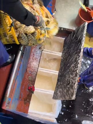 实打实现捕现发,4 斤!整整 4 斤!到手才 58.8 块!算下来一斤才 14 块多,超市冻货都比这贵!