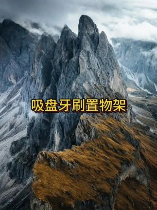 牙刷置物架 #免打孔置物架 #吸盘牙刷杯置物架 #刷牙杯子壁挂 #在抖音入手的好东西 #无限回购的宝藏单品
