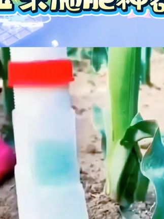 农用玉米施肥神器追肥器手动下化肥机器全自动新型撒肥多功能工具 #农用追肥器 #施肥神器 #多功能撒肥工具