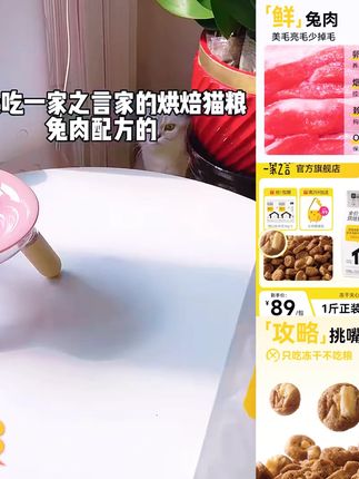 一家之言全价烘焙猫粮美毛高蛋白健康新鲜无谷冻干夹心猫粮全期