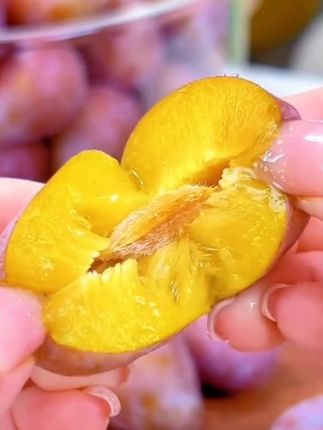 西梅的正确吃法,你学会了吗 你见过 比车厘子还要好吃的大西梅吗? 一般人都买不到 我们新疆正宗的房南西西梅, 一旦找到正确的渠道, 它就不会换地方了。 虽然说 现在市面上有很多地方在卖啊, 包装上写的是咱们新疆法兰西梅, 但实际上都是这种女神西梅冒充的, 这种作为西梅的授粉树在用, 所以说这种西梅的话, 它的口感是种酸涩的呃, 而正宗的新疆法兰西梅呢, 它的甜度非常的高, 你看表面一层厚厚的果粉, 轻轻擦掉之后, 它就很光亮了, 我咬一口给大家看看啊, 哇, 它是香甜爆汁的口感, 而且果肉特别的细腻, 看看这个汁水, 看这糖油, 也就是到了原产地才能给它找到 正儿八经的新疆正宗的喀什法兰西 西北喜欢的朋友尝尝吧!#西梅 #优质农产品