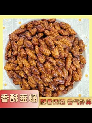 优质农村土特产即食营养美味好吃麻辣下酒菜酥脆口感香酥蚕蛹 #农村土特产 即食蚕蛹#麻辣下酒菜 香酥蚕蛹#营养零食