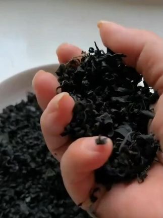 【健康食材】裙带菜干货 正宗嫩苗 营养鲜嫩 免切免洗无沙 罐装正品
