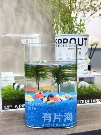 救命!我的工位涨潮了~ #桌面植物 #养鱼日记 #桌面好物 #有片海