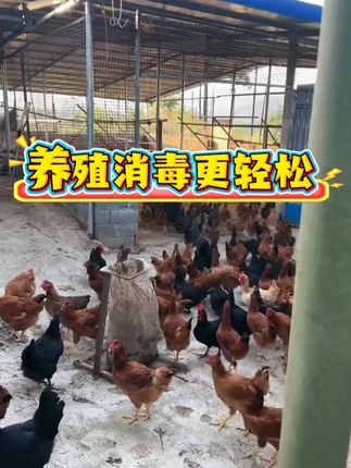 养殖不消毒,一年白辛苦!#鸡鸭鹅养殖#科学养鸡#养殖小妙招#养鸡人#牧商网过硫