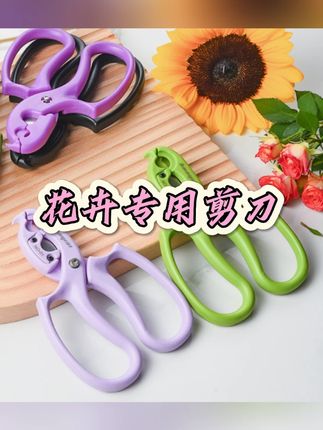 #花艺  #花店用品  #打刺剪  #花艺剪 #生活好帮手